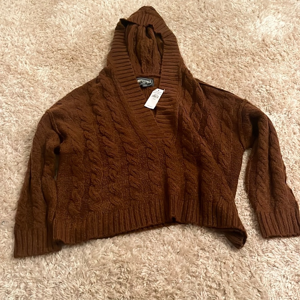 Brown American Eagle knit sweater